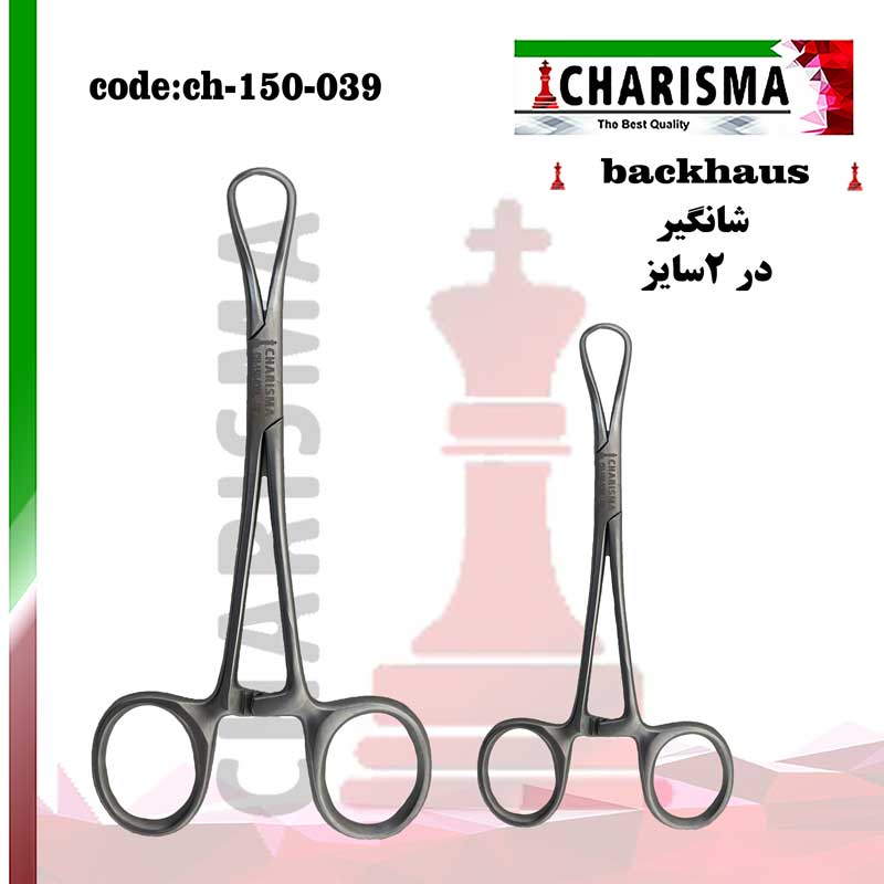 شانگیر کاریزما CHARISMA