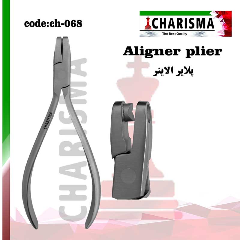 پلایر الاینر کاریزما CHARISMA