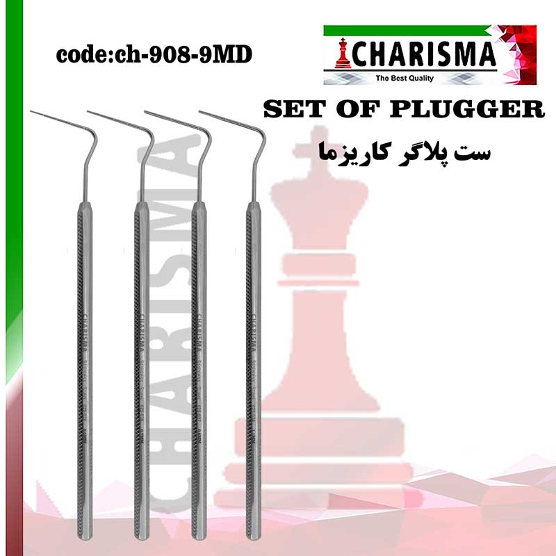 ست 4عددی پلاگر کاریزما CHARISMA کد Set of plugger
