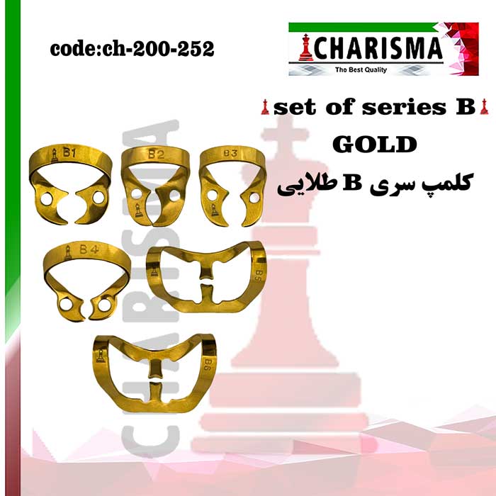 ست کلمپ رابردم سری B تیتانیومی کاریزما CHARISMA